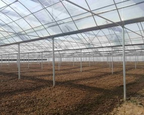 溫室大棚建設選購鋼絲的小技巧