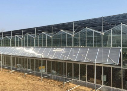 陽光板溫室
