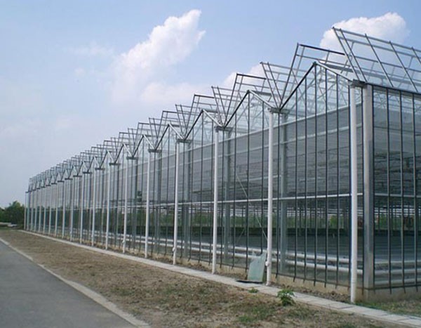 玻璃溫室