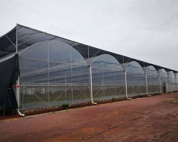 薄膜連棟溫室