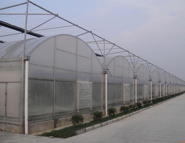 連棟薄膜溫室