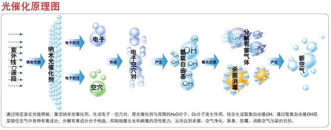 光觸媒、生物酶除甲醛產(chǎn)品介紹【佛山】 光觸媒、生物酶除甲醛【佛山】